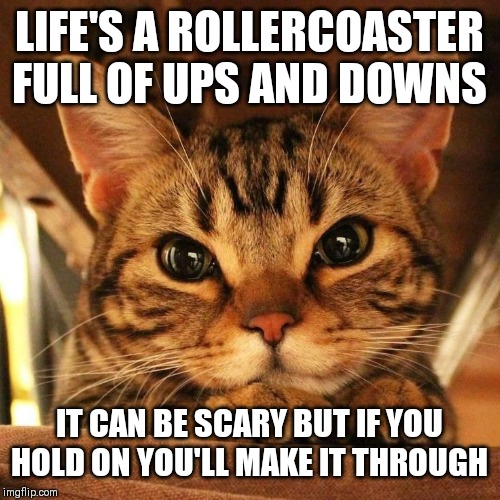 LIFE'S A ROLLERCOASTER FULL OF UPS AND DOWNS IT CAN BE SCARY BUT IF YOU HOLD ON YOU'LL MAKE IT THROUGH | made w/ Imgflip meme maker
