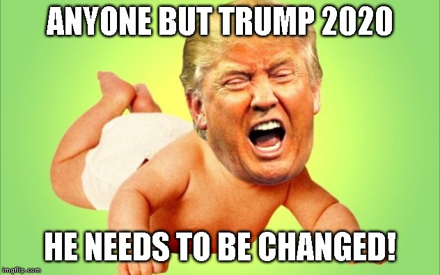 We are Tired of the Trump Twitter Tantrums | ANYONE BUT TRUMP 2020; HE NEEDS TO BE CHANGED! | image tagged in elizabeth warren,warren 2020,impeach trump,trump tantrum | made w/ Imgflip meme maker