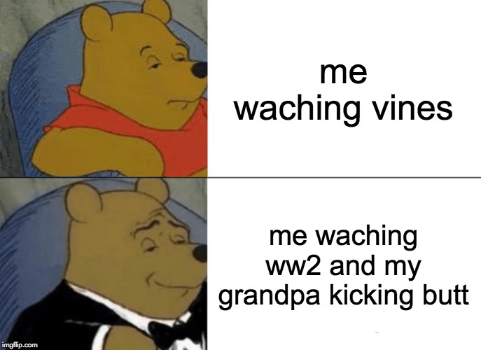 Tuxedo Winnie The Pooh Meme | me waching vines; me waching ww2 and my grandpa kicking butt | image tagged in memes,tuxedo winnie the pooh | made w/ Imgflip meme maker