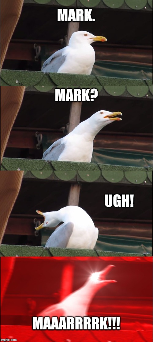 Inhaling Seagull Meme | MARK. MARK? UGH! MAAARRRRK!!! | image tagged in memes,inhaling seagull | made w/ Imgflip meme maker