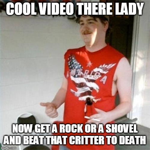 Redneck Randal Meme | COOL VIDEO THERE LADY NOW GET A ROCK OR A SHOVEL AND BEAT THAT CRITTER TO DEATH | image tagged in memes,redneck randal | made w/ Imgflip meme maker