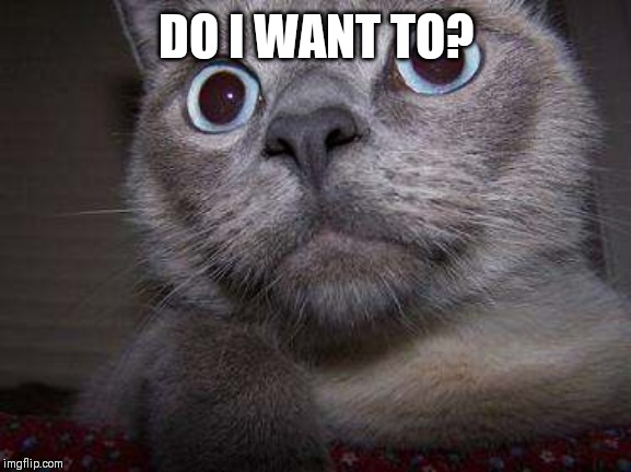 Freaky eye cat | DO I WANT TO? | image tagged in freaky eye cat | made w/ Imgflip meme maker