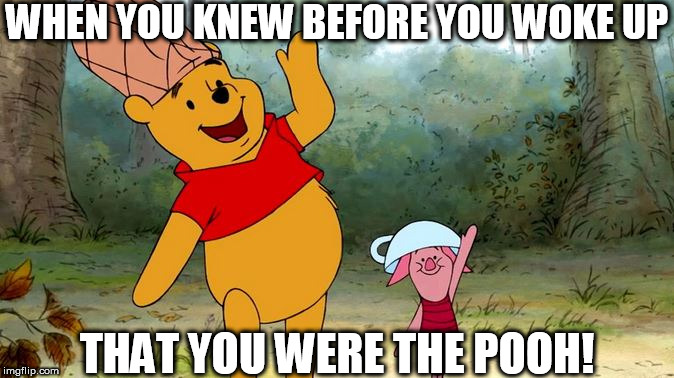 WHEN YOU KNEW BEFORE YOU WOKE UP THAT YOU WERE THE POOH! | made w/ Imgflip meme maker