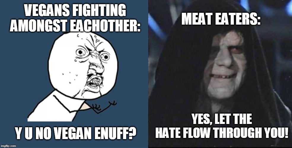 Vegan infighting | MEAT EATERS:; VEGANS FIGHTING AMONGST EACHOTHER:; Y U NO VEGAN ENUFF? YES, LET THE HATE FLOW THROUGH YOU! | image tagged in memes,y u no,sidious error,vegans,meat,beef | made w/ Imgflip meme maker