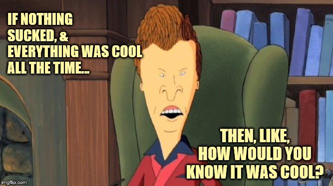 butthead | IF NOTHING SUCKED, & EVERYTHING WAS COOL ALL THE TIME... THEN, LIKE, HOW WOULD YOU KNOW IT WAS COOL? | image tagged in butthead | made w/ Imgflip meme maker