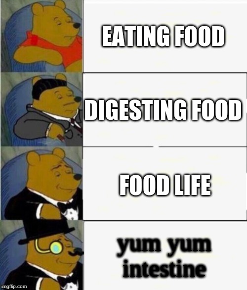 Tuxedo Winnie the Pooh 4 panel | EATING FOOD; DIGESTING FOOD; FOOD LIFE; yum yum intestine | image tagged in tuxedo winnie the pooh 4 panel | made w/ Imgflip meme maker