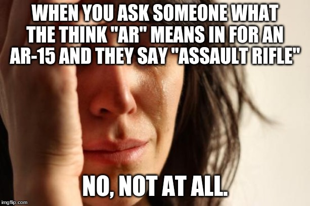 First World Problems | WHEN YOU ASK SOMEONE WHAT THE THINK "AR" MEANS IN FOR AN AR-15 AND THEY SAY "ASSAULT RIFLE"; NO, NOT AT ALL. | image tagged in memes,first world problems | made w/ Imgflip meme maker