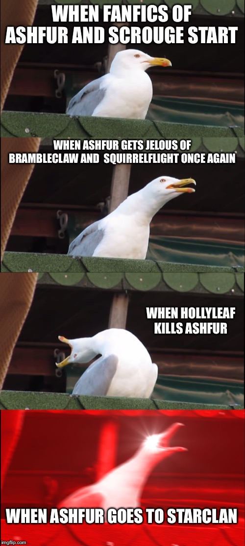 Inhaling Seagull | WHEN FANFICS OF ASHFUR AND SCROUGE START; WHEN ASHFUR GETS JELOUS OF BRAMBLECLAW AND  SQUIRRELFLIGHT ONCE AGAIN; WHEN HOLLYLEAF KILLS ASHFUR; WHEN ASHFUR GOES TO STARCLAN | image tagged in memes,inhaling seagull | made w/ Imgflip meme maker