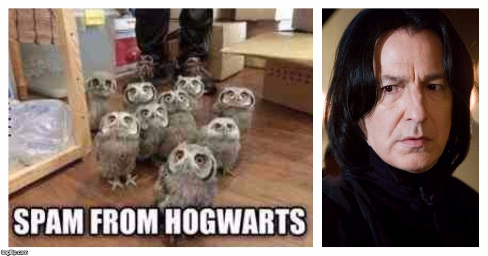image tagged in hogwarts | made w/ Imgflip meme maker