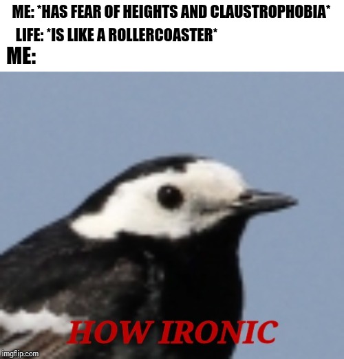 How ironic | ME: *HAS FEAR OF HEIGHTS AND CLAUSTROPHOBIA* LIFE: *IS LIKE A ROLLERCOASTER* ME: | image tagged in how ironic | made w/ Imgflip meme maker