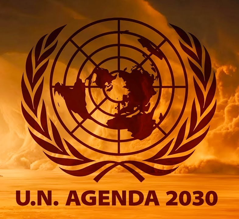 High Quality Agenda 2030 Blank Meme Template