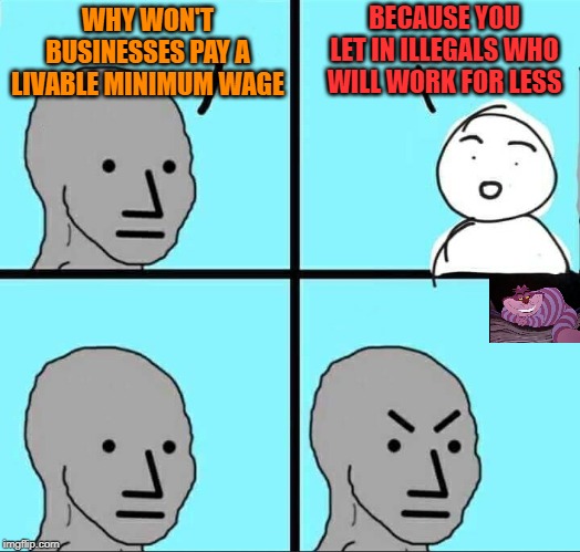 Why is this so hard to understand? | BECAUSE YOU LET IN ILLEGALS WHO WILL WORK FOR LESS; WHY WON'T BUSINESSES PAY A LIVABLE MINIMUM WAGE | image tagged in npc meme | made w/ Imgflip meme maker