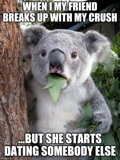 Surprised Koala Meme | WHEN I MY FRIEND BREAKS UP WITH MY CRUSH; ...BUT SHE STARTS DATING SOMEBODY ELSE | image tagged in memes,surprised koala | made w/ Imgflip meme maker