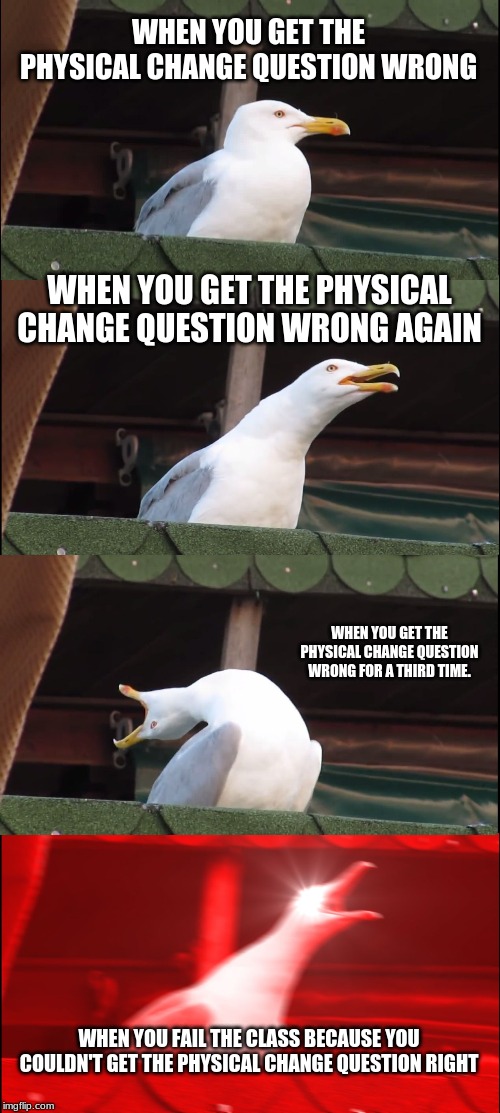 Inhaling Seagull Meme | WHEN YOU GET THE PHYSICAL CHANGE QUESTION WRONG; WHEN YOU GET THE PHYSICAL CHANGE QUESTION WRONG AGAIN; WHEN YOU GET THE PHYSICAL CHANGE QUESTION WRONG FOR A THIRD TIME. WHEN YOU FAIL THE CLASS BECAUSE YOU COULDN'T GET THE PHYSICAL CHANGE QUESTION RIGHT | image tagged in memes,inhaling seagull | made w/ Imgflip meme maker