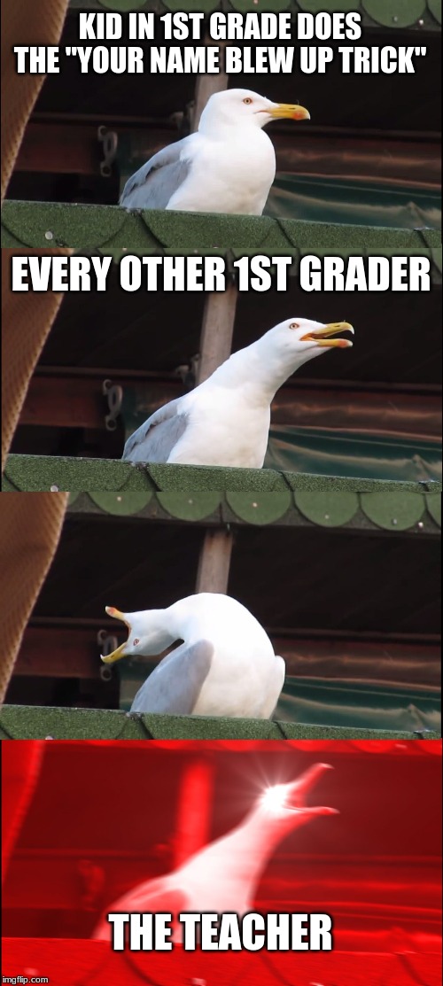 Inhaling Seagull Meme |  KID IN 1ST GRADE DOES THE "YOUR NAME BLEW UP TRICK"; EVERY OTHER 1ST GRADER; THE TEACHER | image tagged in memes,inhaling seagull | made w/ Imgflip meme maker