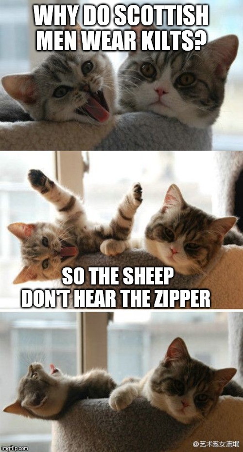 WHY DO SCOTTISH MEN WEAR KILTS? SO THE SHEEP DON'T HEAR THE ZIPPER | made w/ Imgflip meme maker