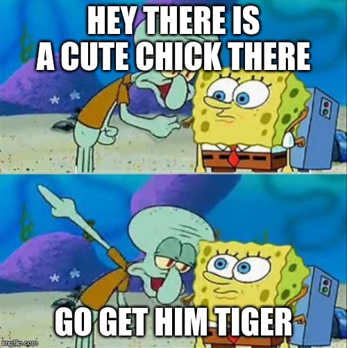 Talk To Spongebob | HEY THERE IS A CUTE CHICK THERE; GO GET HIM TIGER | image tagged in memes,talk to spongebob | made w/ Imgflip meme maker