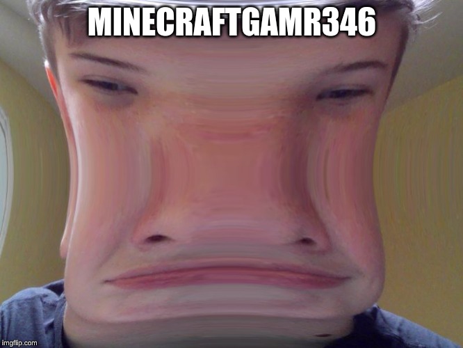 MINECRAFTGAMR346 | image tagged in minecrafter | made w/ Imgflip meme maker