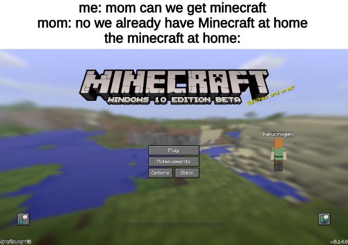 i dont know what to call this | me: mom can we get minecraft
mom: no we already have Minecraft at home
the minecraft at home: | image tagged in minecraft,memes | made w/ Imgflip meme maker