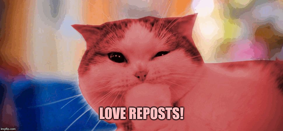 RayCat laughing | LOVE REPOSTS! | image tagged in raycat laughing | made w/ Imgflip meme maker