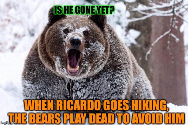 And don’t ask about the skunks: More Roast Ricardo week insults :) | IS HE GONE YET? WHEN RICARDO GOES HIKING, THE BEARS PLAY DEAD TO AVOID HIM | image tagged in roast ricardo week | made w/ Imgflip meme maker