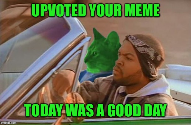 Driving RayCat | UPVOTED YOUR MEME TODAY WAS A GOOD DAY | image tagged in driving raycat | made w/ Imgflip meme maker