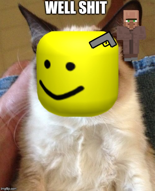 Grumpy Cat Meme | WELL SHIT | image tagged in memes,grumpy cat | made w/ Imgflip meme maker