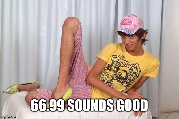 Gay | 66.99 SOUNDS GOOD | image tagged in gay | made w/ Imgflip meme maker