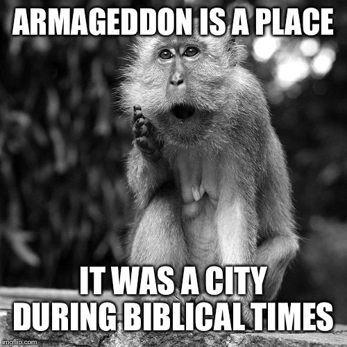 Wise Monkey | ARMAGEDDON IS A PLACE IT WAS A CITY DURING BIBLICAL TIMES | image tagged in wise monkey | made w/ Imgflip meme maker