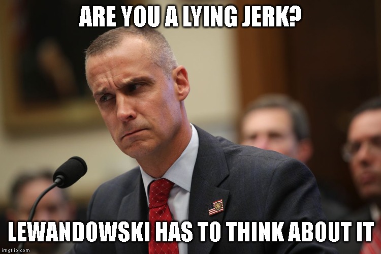Fine this Jerk for Contempt of Congress | ARE YOU A LYING JERK? LEWANDOWSKI HAS TO THINK ABOUT IT | image tagged in impeach,liar,contempt,impeach trump | made w/ Imgflip meme maker
