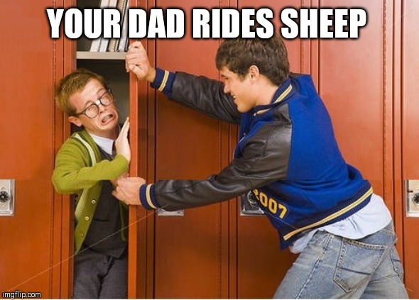 bully shoving nerd into locker | YOUR DAD RIDES SHEEP | image tagged in bully shoving nerd into locker | made w/ Imgflip meme maker