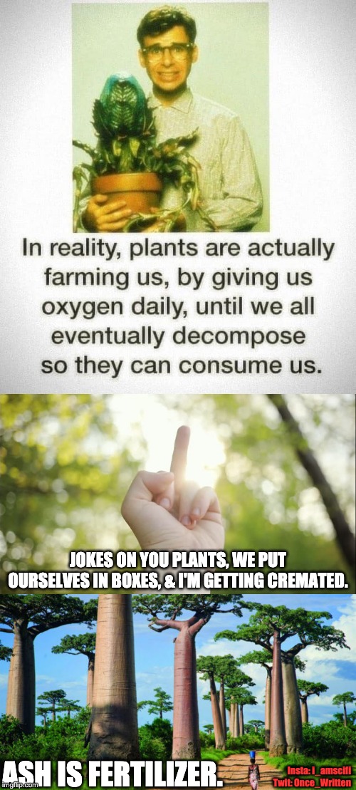 JOKES ON YOU PLANTS, WE PUT OURSELVES IN BOXES, & I'M GETTING CREMATED. ASH IS FERTILIZER. Insta: i_amscifi    Twit: Once_Written | image tagged in plants,trees,death | made w/ Imgflip meme maker