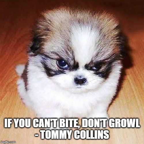 Pass the Growler | IF YOU CAN'T BITE, DON'T GROWL
- TOMMY COLLINS | image tagged in angry puppy,barking | made w/ Imgflip meme maker
