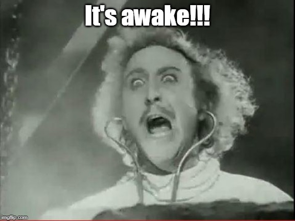 Young Frankenstein | It's awake!!! | image tagged in young frankenstein | made w/ Imgflip meme maker