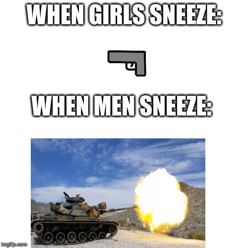 WHEN GIRLS SNEEZE:; WHEN MEN SNEEZE: | image tagged in memes | made w/ Imgflip meme maker