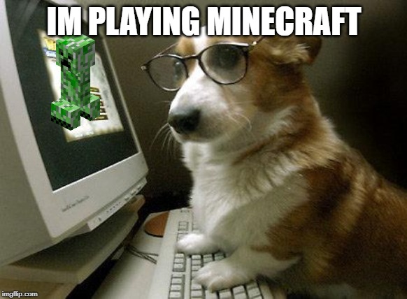 Smart Dog | IM PLAYING MINECRAFT | image tagged in smart dog | made w/ Imgflip meme maker