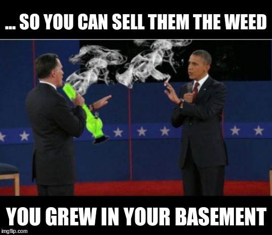 Romney Bong Meme | ... SO YOU CAN SELL THEM THE WEED YOU GREW IN YOUR BASEMENT | image tagged in memes,romney bong | made w/ Imgflip meme maker