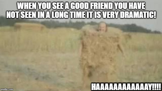 hay | WHEN YOU SEE A GOOD FRIEND YOU HAVE NOT SEEN IN A LONG TIME IT IS VERY DRAMATIC! HAAAAAAAAAAAAY!!!! | image tagged in hay | made w/ Imgflip meme maker
