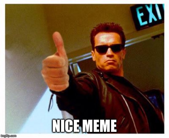 terminator thumbs up | NICE MEME | image tagged in terminator thumbs up | made w/ Imgflip meme maker