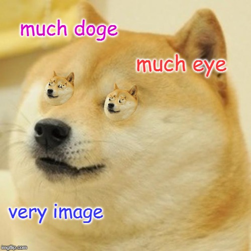 Doge Meme | much doge; much eye; very image | image tagged in memes,doge | made w/ Imgflip meme maker