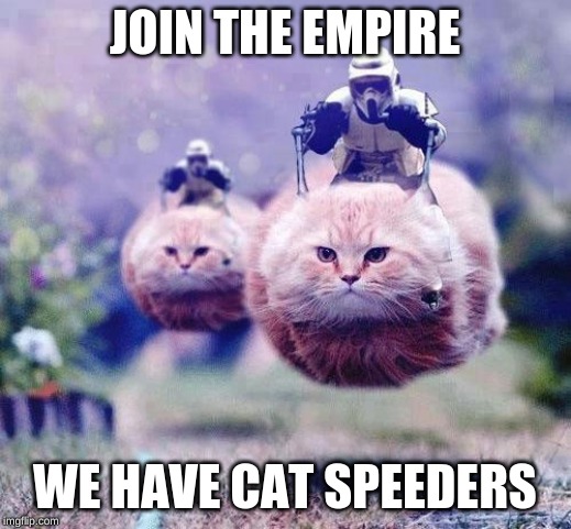Join The Empire | JOIN THE EMPIRE; WE HAVE CAT SPEEDERS | image tagged in storm trooper cats,star wars,join the empire,cat speeders | made w/ Imgflip meme maker