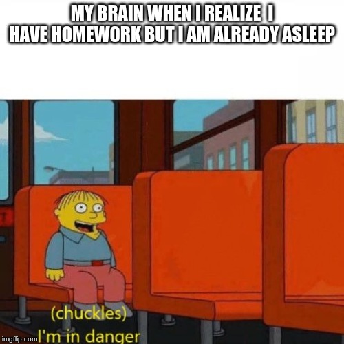Chuckles, I’m in danger | MY BRAIN WHEN I REALIZE  I HAVE HOMEWORK BUT I AM ALREADY ASLEEP | image tagged in chuckles im in danger | made w/ Imgflip meme maker