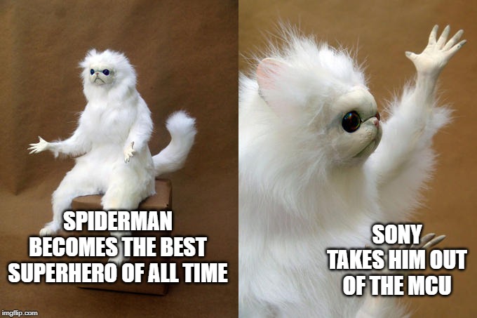 Persian Cat Room Guardian | SONY TAKES HIM OUT OF THE MCU; SPIDERMAN BECOMES THE BEST SUPERHERO OF ALL TIME | image tagged in memes,persian cat room guardian | made w/ Imgflip meme maker
