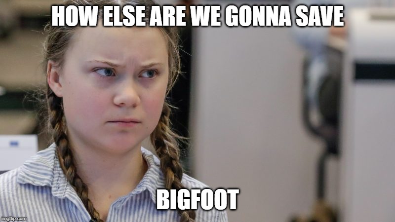 Pissedoff Greta | HOW ELSE ARE WE GONNA SAVE; BIGFOOT | image tagged in pissedoff greta | made w/ Imgflip meme maker