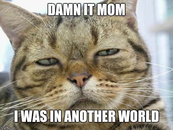 Sleepy Cat | DAMN IT MOM I WAS IN ANOTHER WORLD | image tagged in sleepy cat | made w/ Imgflip meme maker