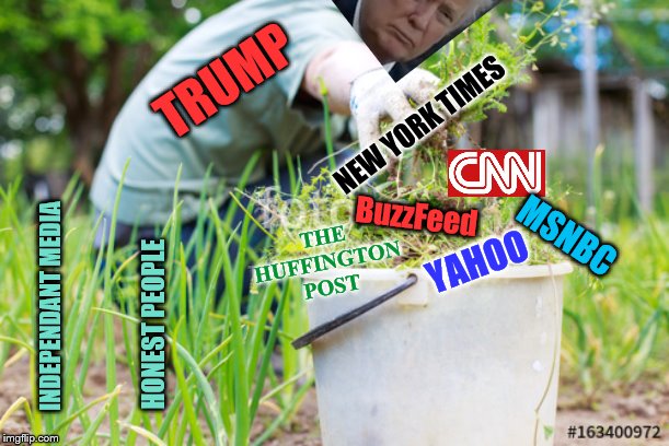 Gotta weed out all that fake news! | TRUMP; NEW YORK TIMES; THE HUFFINGTON POST; BuzzFeed; MSNBC; YAHOO; INDEPENDANT MEDIA; HONEST PEOPLE | image tagged in memes,fake news,political meme,trump | made w/ Imgflip meme maker