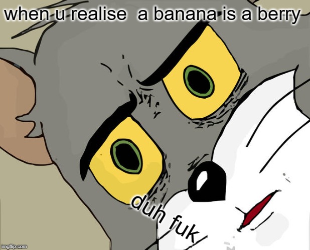 Unsettled Tom | when u realise  a banana is a berry; duh fuk | image tagged in memes,unsettled tom | made w/ Imgflip meme maker