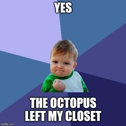 Success Kid | YES; THE OCTOPUS LEFT MY CLOSET | image tagged in memes,success kid | made w/ Imgflip meme maker