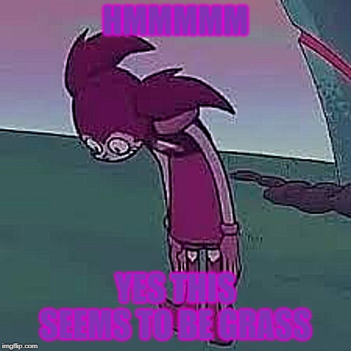 HMMMMM; YES THIS SEEMS TO BE GRASS | image tagged in steven universe | made w/ Imgflip meme maker