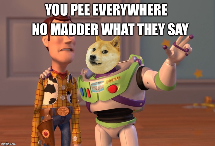 yea you pee where you want! dog lives matter! dog lives matter! | NO MADDER WHAT THEY SAY; YOU PEE EVERYWHERE | image tagged in memes,x x everywhere,doge | made w/ Imgflip meme maker